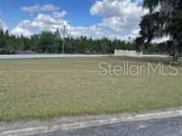 100 SIESTA CIRCLE , WELAKA, FL 32193