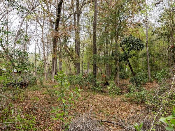 Lot 45 SW BOSTON TERRACE , FORT WHITE, FL 32038