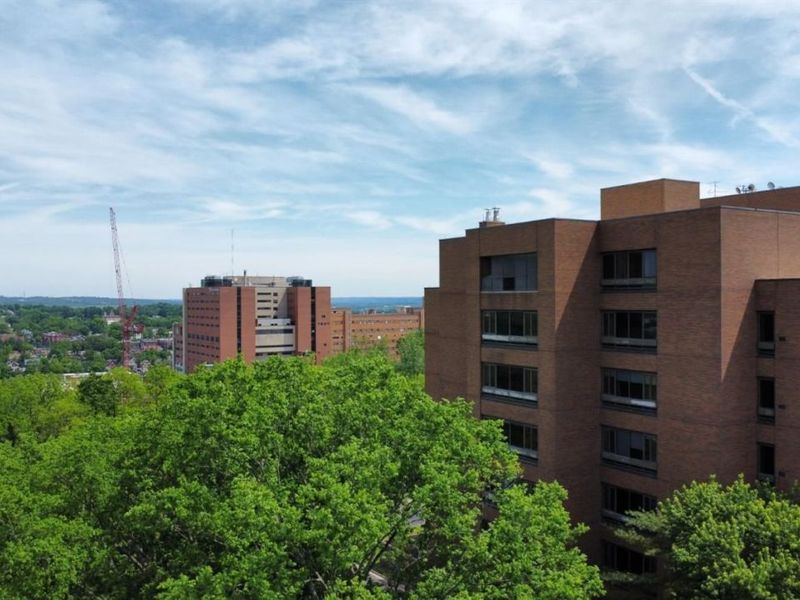 3011 Riddle View Lane, Cincinnati, OH 45220 Photo 13