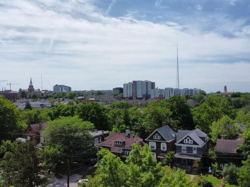 3011 Riddle View Lane, Cincinnati, OH 45220 Photo 3