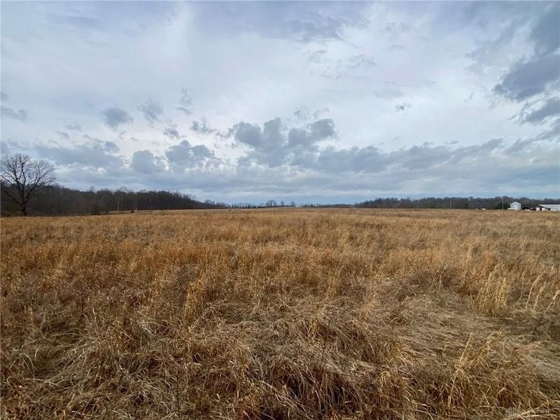 77 Wildcat Road, Winchester, OH 45697 Photo 7