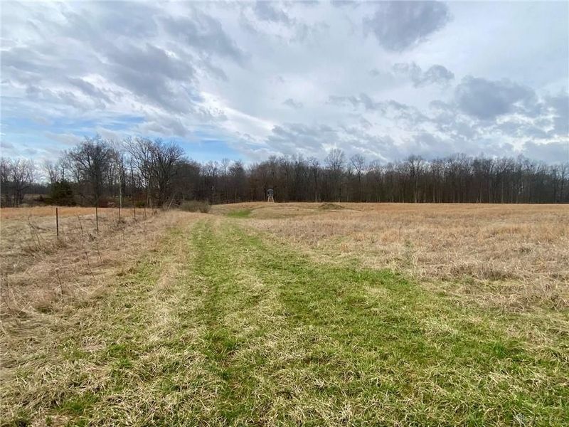 77 Wildcat Road, Winchester, OH 45697 Photo 9