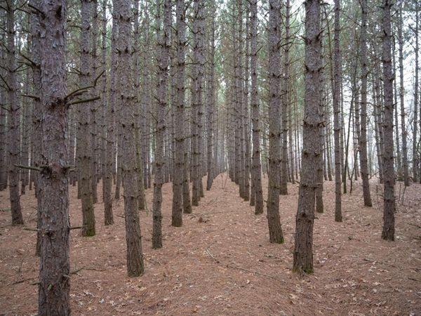 685 17th Drive, Arkdale, WI 54613