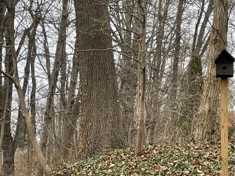 3025 Killian Road , Uniontown, OH 44685 Photo 21