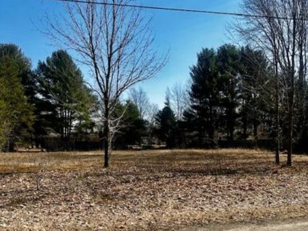 Twelfth Street, Bear Lake, MI 49614