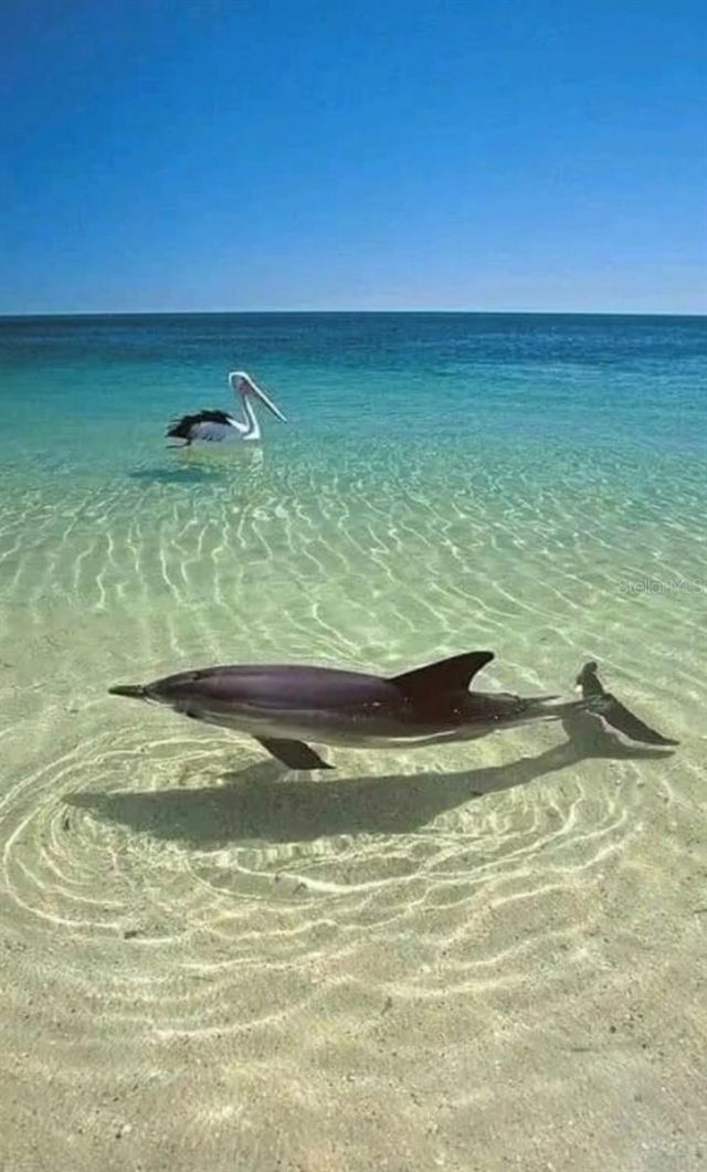 13845 Old Creek Court, Parrish, FL 34219 Photo