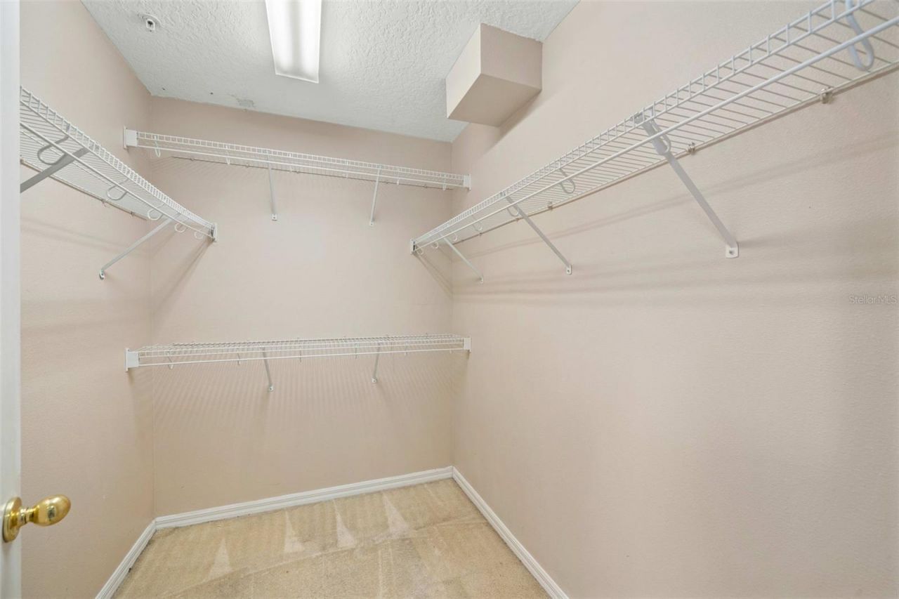 9434 Silver Buttonwood Street , Orlando, FL 32832 Photo