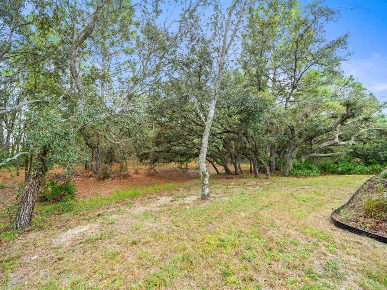 13 Witch Hazel Court, Homosassa, FL 34446 Photo