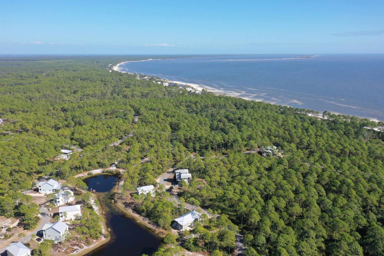 147 Lightning Bug Lane , Saint Teresa, FL 32358 Photo