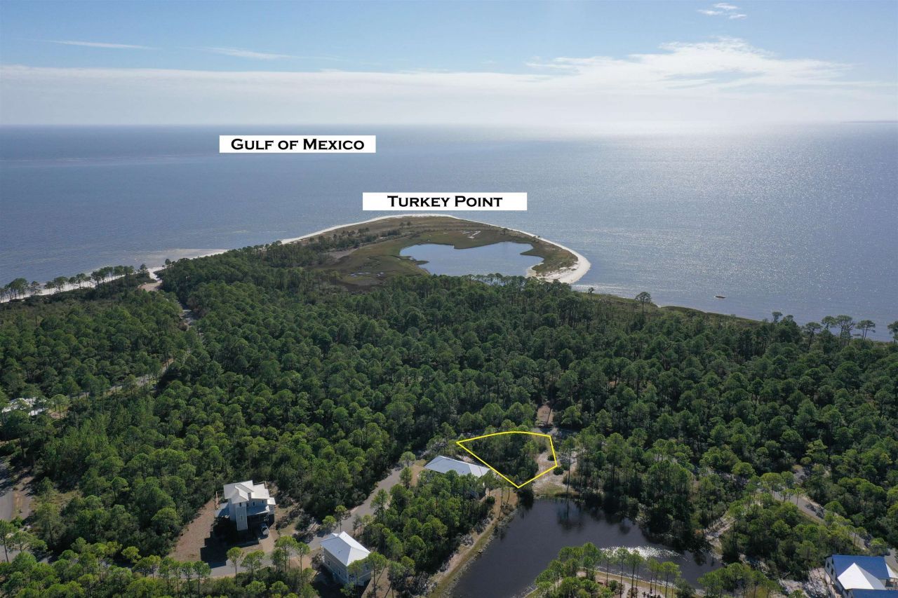 147 Lightning Bug Lane , Saint Teresa, FL 32358 Photo