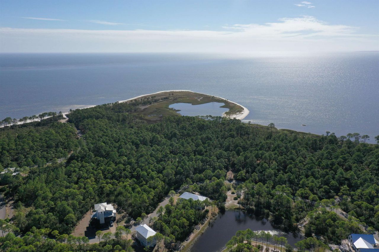 147 Lightning Bug Lane , Saint Teresa, FL 32358 Photo