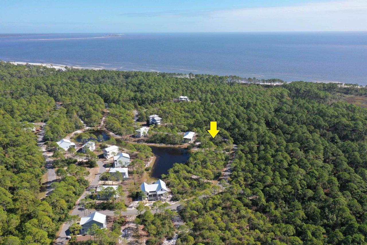 147 Lightning Bug Lane , Saint Teresa, FL 32358 Photo