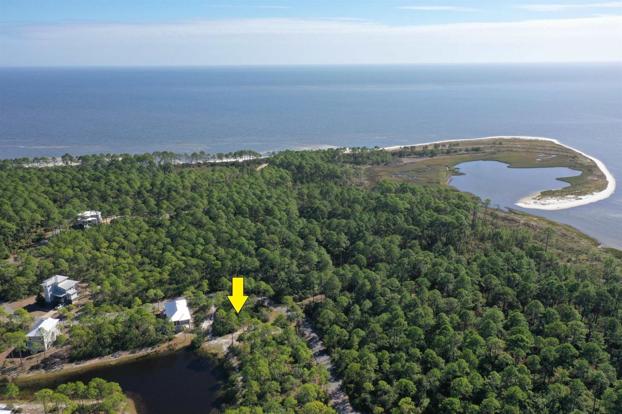 147 Lightning Bug Lane , Saint Teresa, FL 32358 Photo