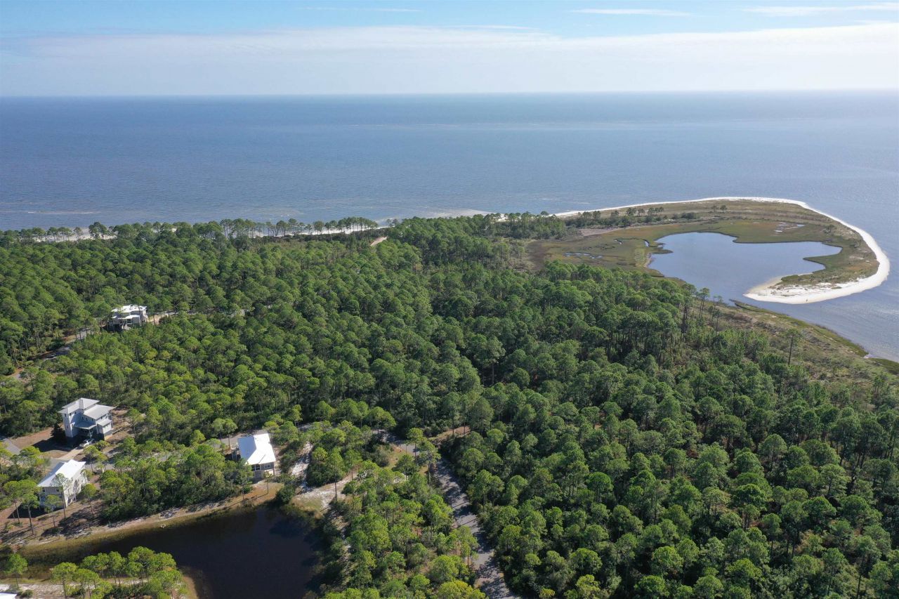 147 Lightning Bug Lane , Saint Teresa, FL 32358 Photo