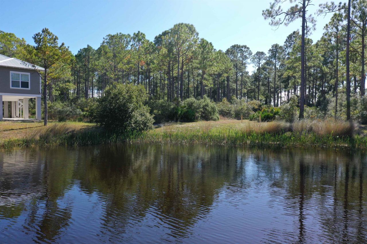 147 Lightning Bug Lane , Saint Teresa, FL 32358 Photo