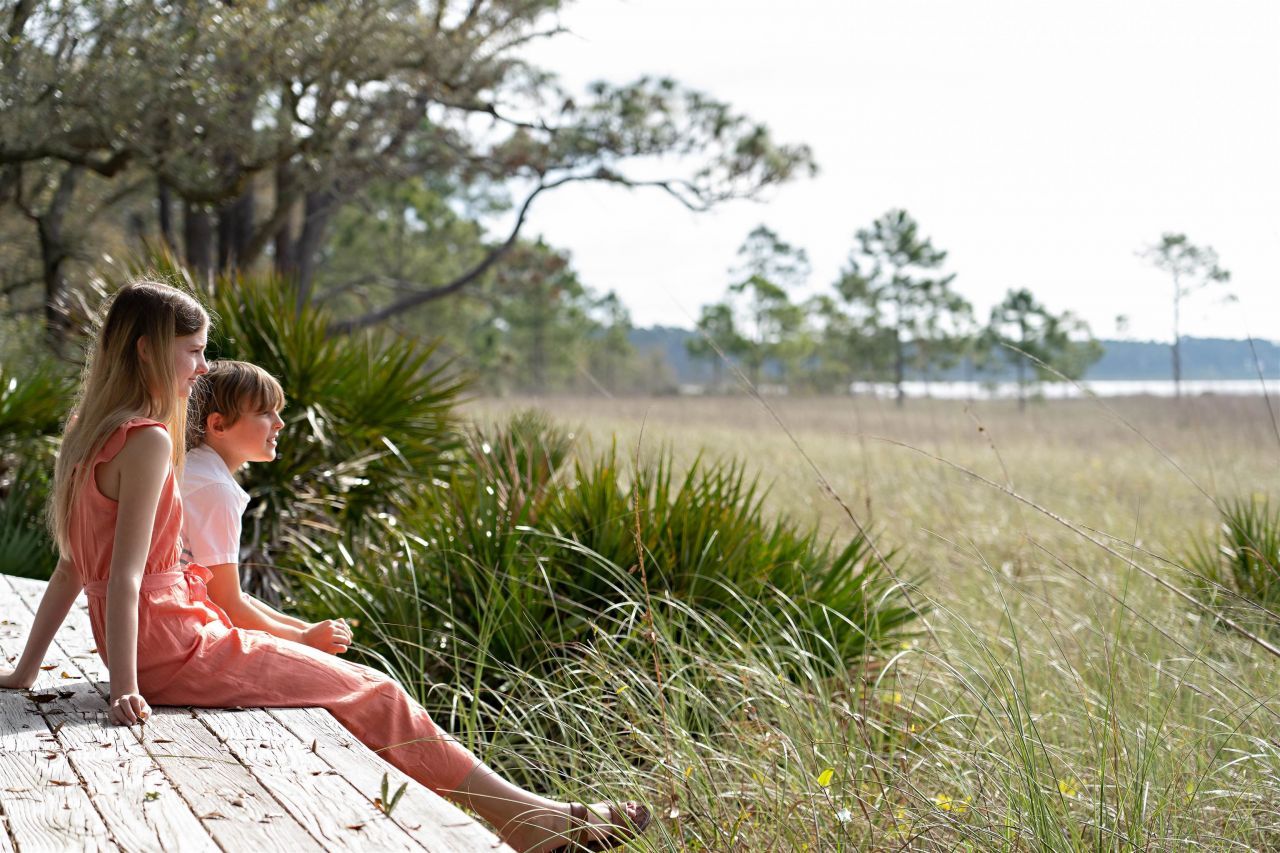 147 Lightning Bug Lane , Saint Teresa, FL 32358 Photo