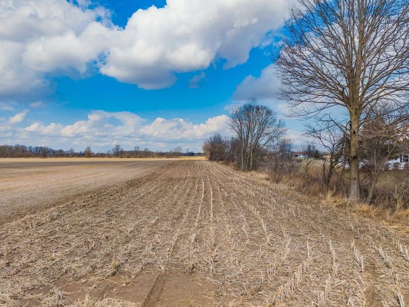 0 Mink Street , Ostrander, OH 43061 Photo 2