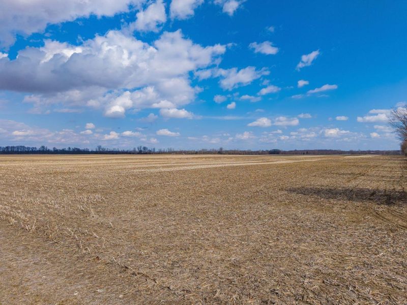 0 Mink Street , Ostrander, OH 43061 Photo 4