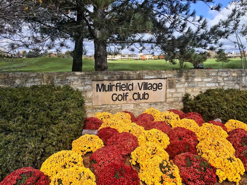 187 Stonefence Lane, Dublin, OH 43017 Photo 48