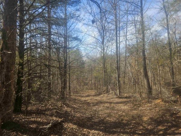 000 Fawn Road, Big Flat, AR 72617