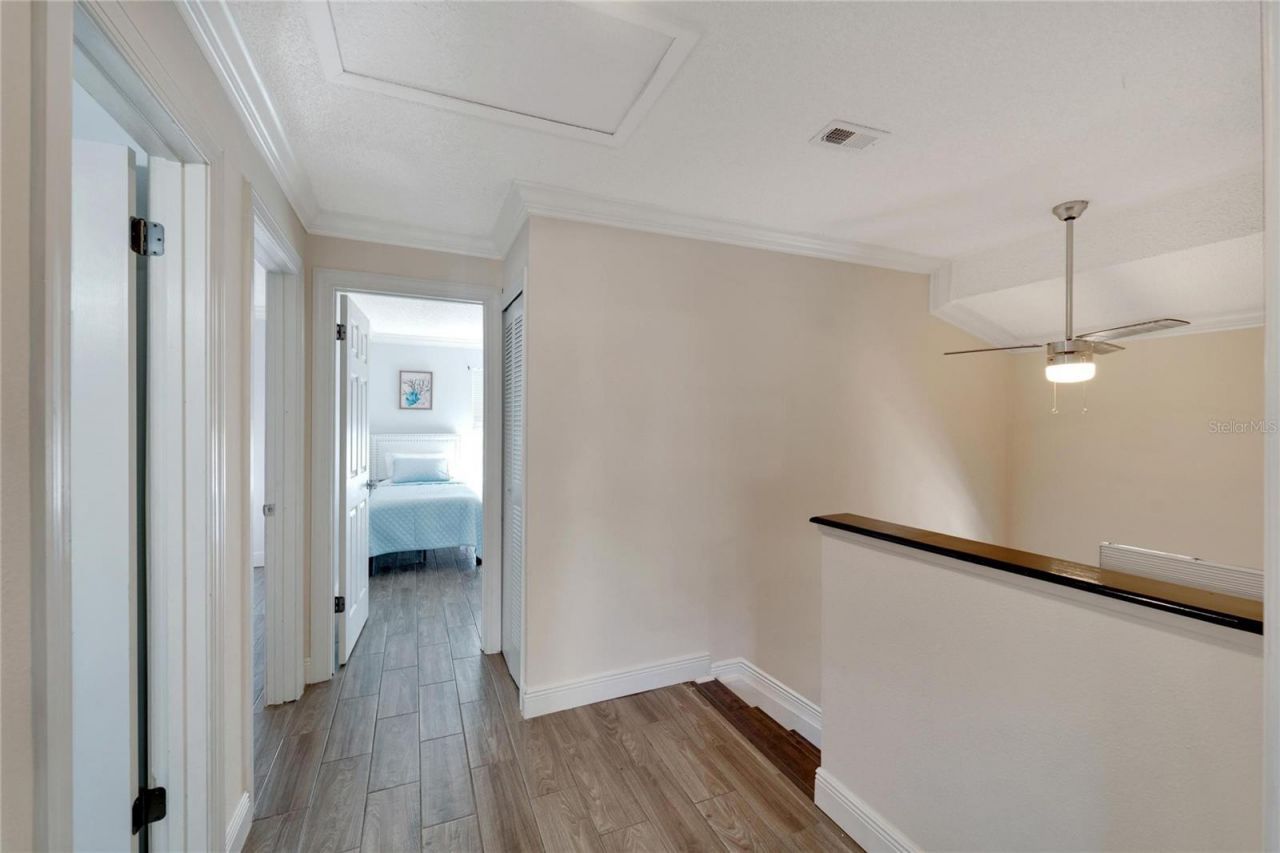 7610 Leon Avenue, Temple Terrace, FL 33637 Photo