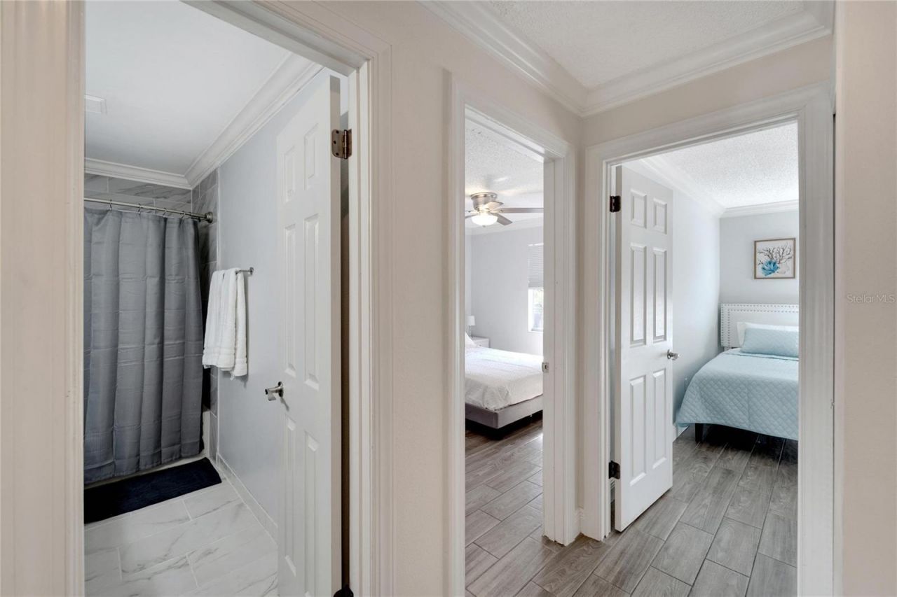 7610 Leon Avenue, Temple Terrace, FL 33637 Photo