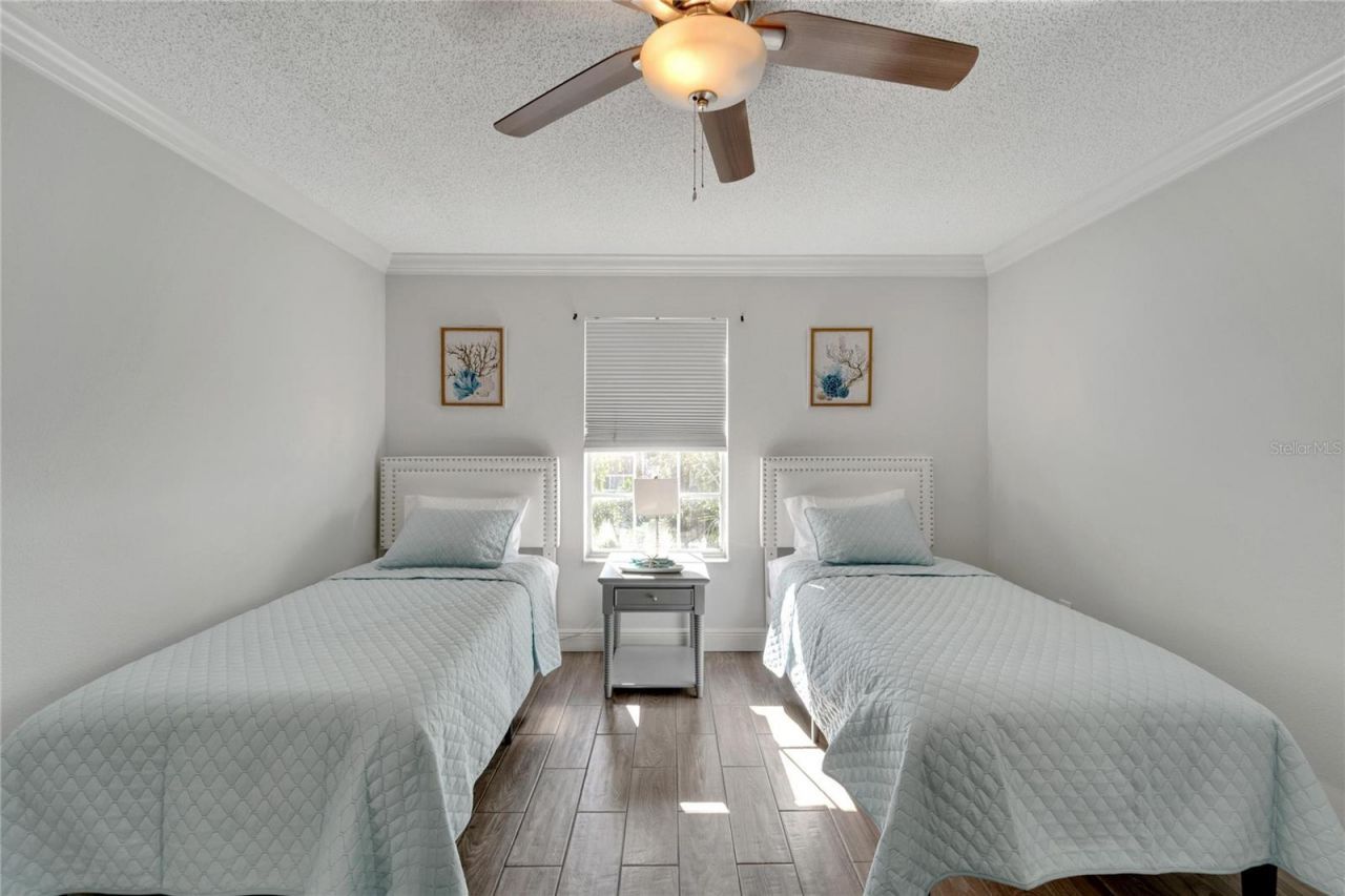 7610 Leon Avenue, Temple Terrace, FL 33637 Photo