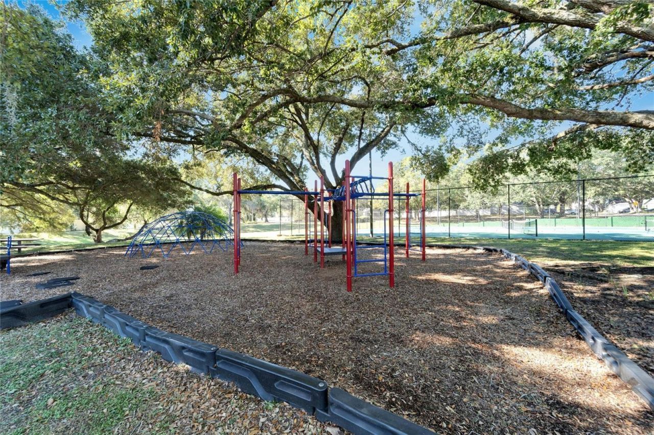 7610 Leon Avenue, Temple Terrace, FL 33637 Photo