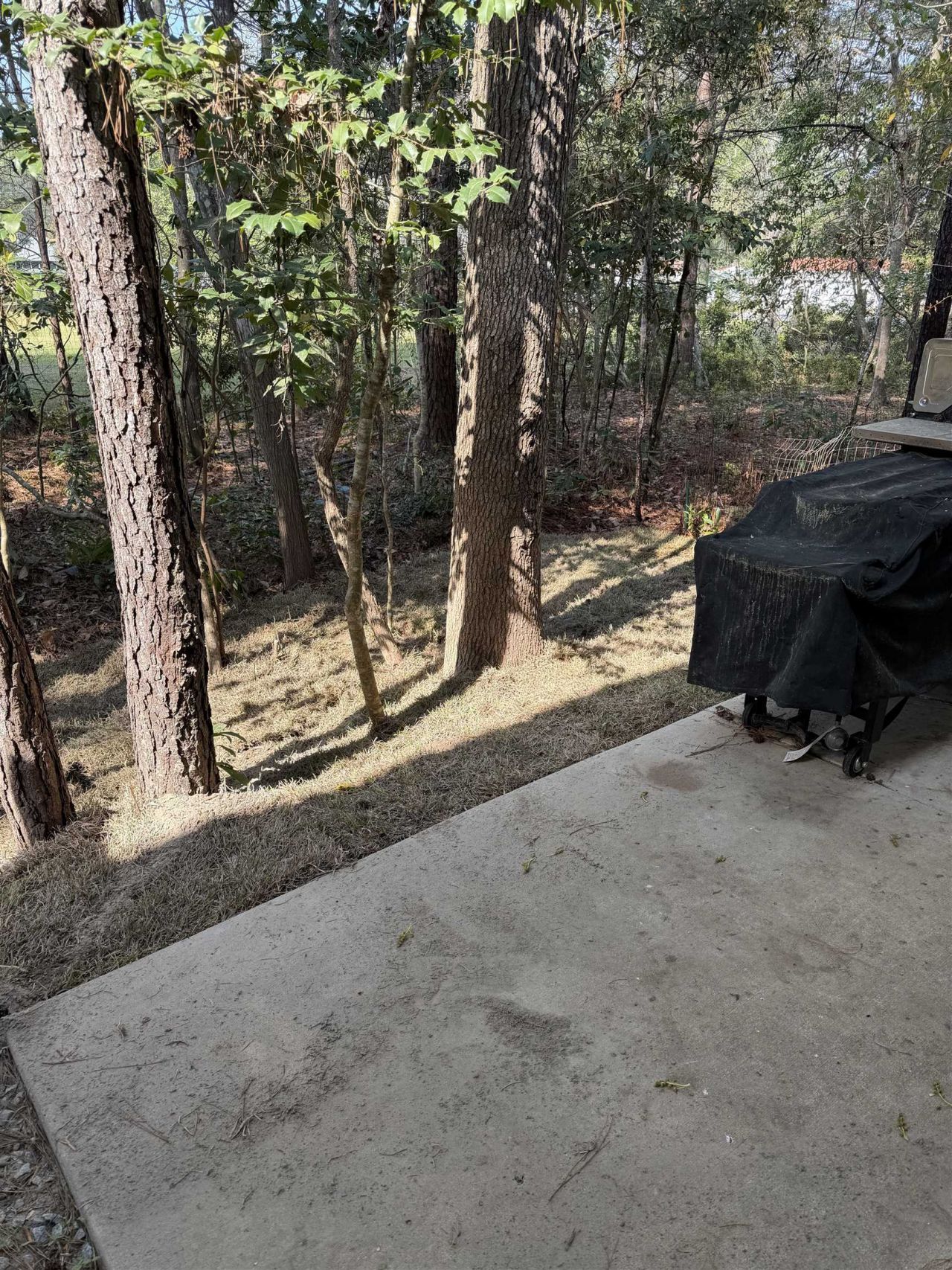 608 Montenegro Way Photo 37