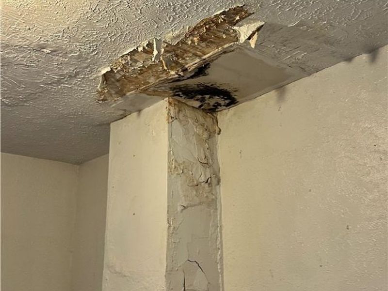 12628 Iroquois Avenue , Cleveland, OH 44108 Photo 15