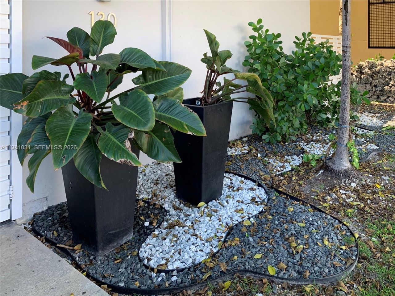 130 Mendoza Ave , Unit 42, Coral Gables, FL 33134 Photo