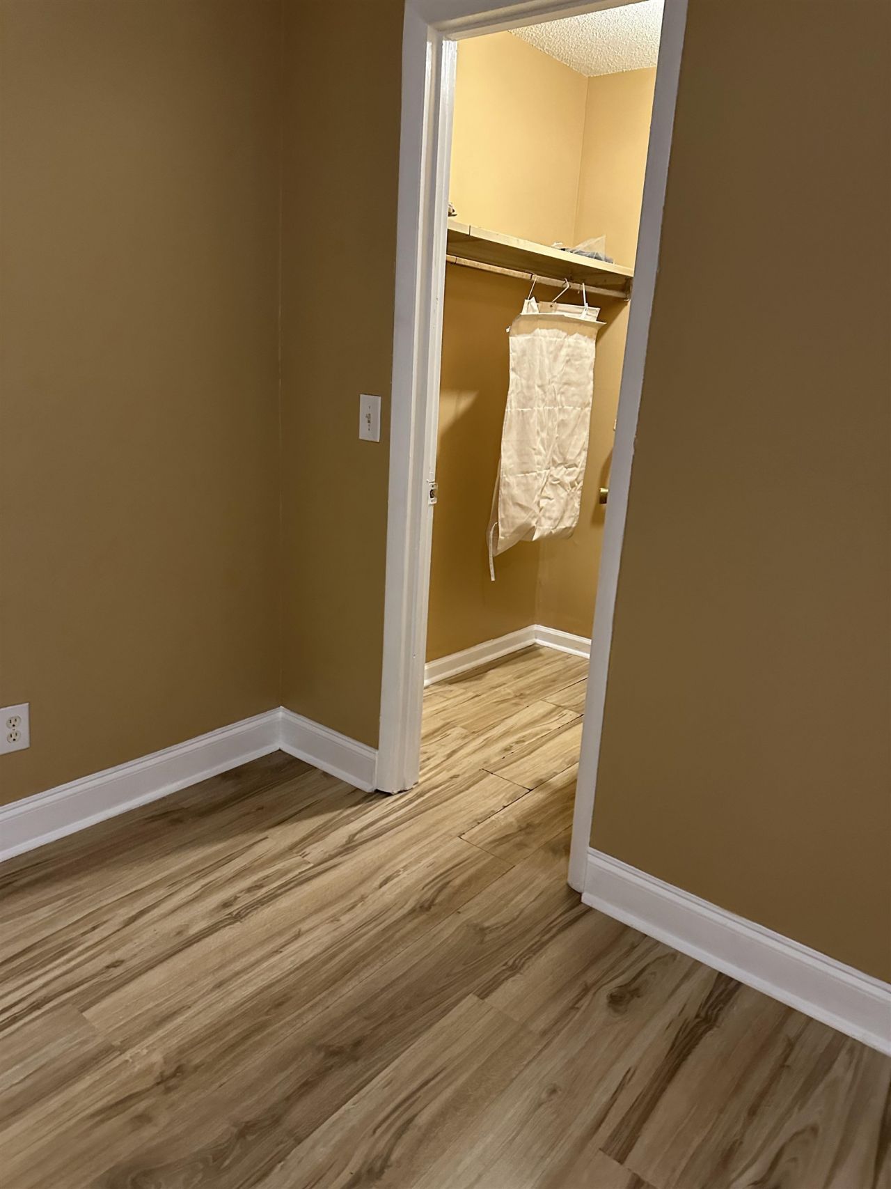 405 Cambridge Circle  Photo 11