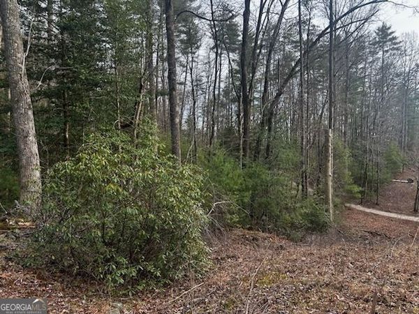 0 Corinth Church Road, Cleveland, GA 30528