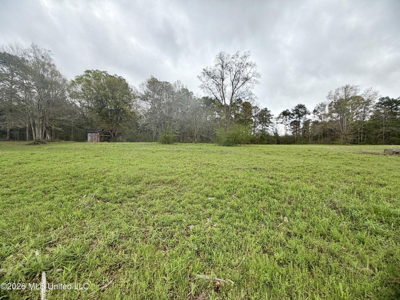 0 Palestine Road, Picayune, MS 39466 Main Photo