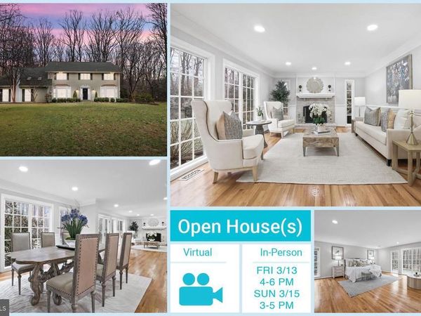 10225 FOREST LAKE DRIVE, GREAT FALLS, VA 22066