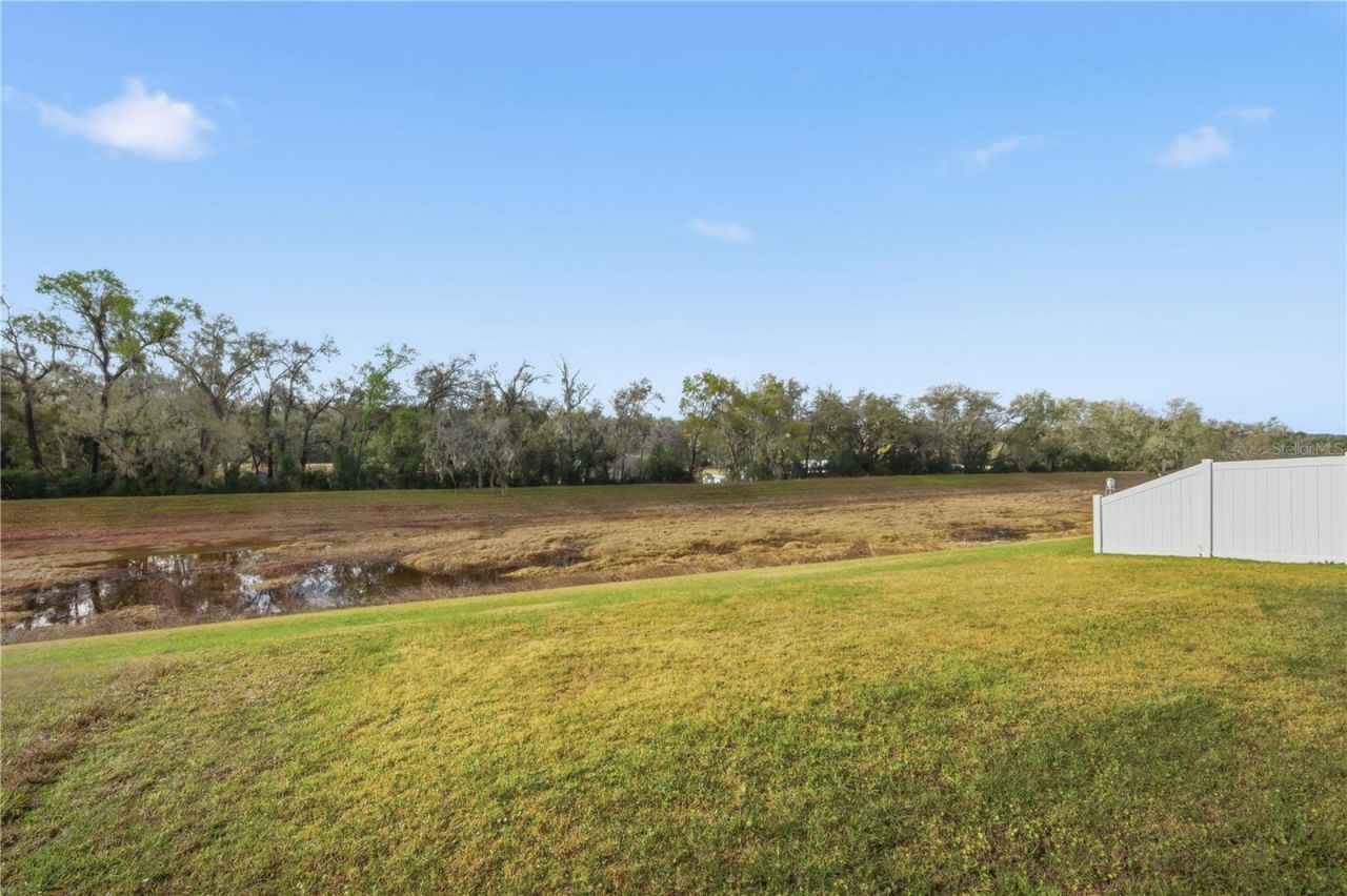 12945 Ogden Glade Road, Dade City, FL 33525 Photo