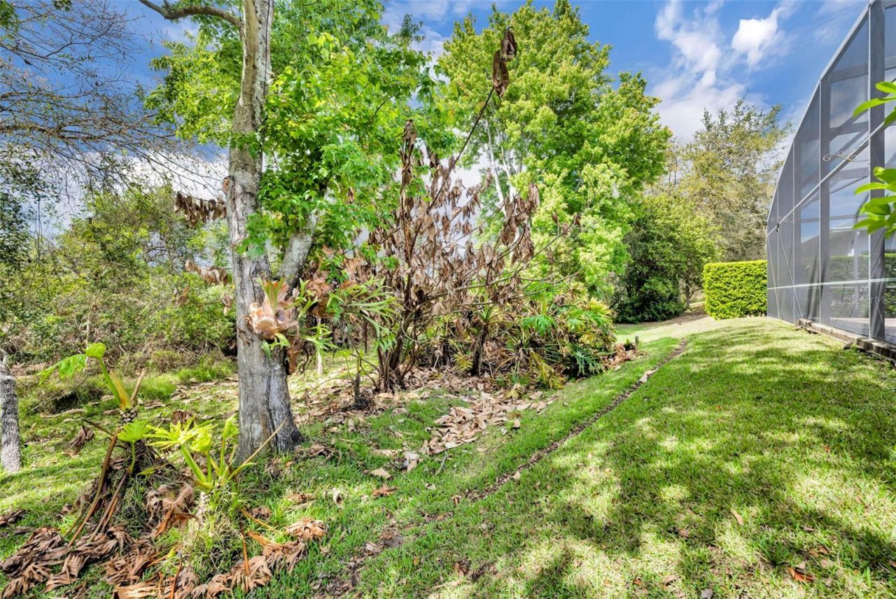 13431 Early Frost Circle , Orlando, FL 32828 Photo