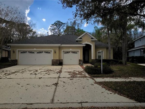 6041 CATLIN DRIVE , TAMPA, FL 33647