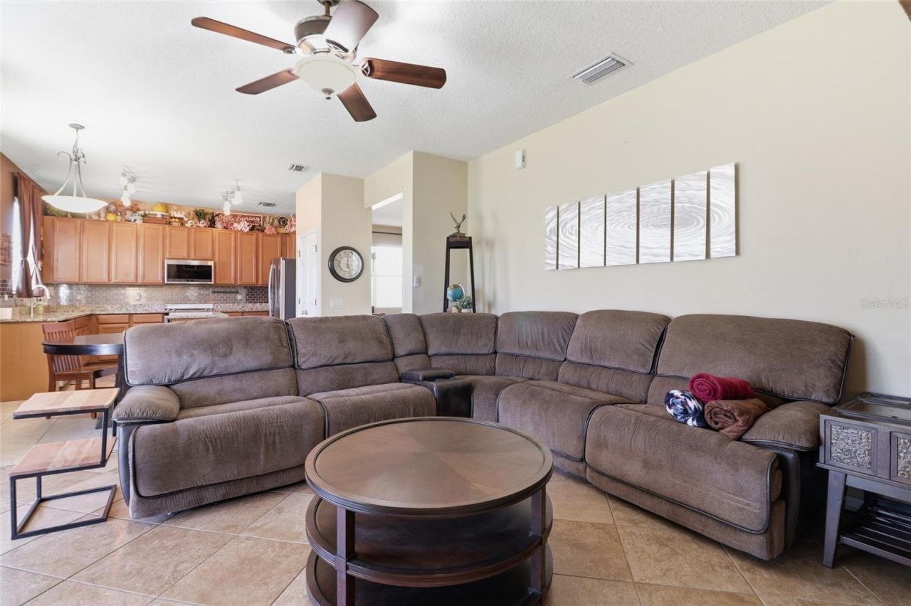 3907 91st Avenue E, Parrish, FL 34219 Photo