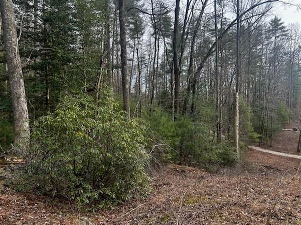 0 Corinth Church Road, Cleveland, GA 30528