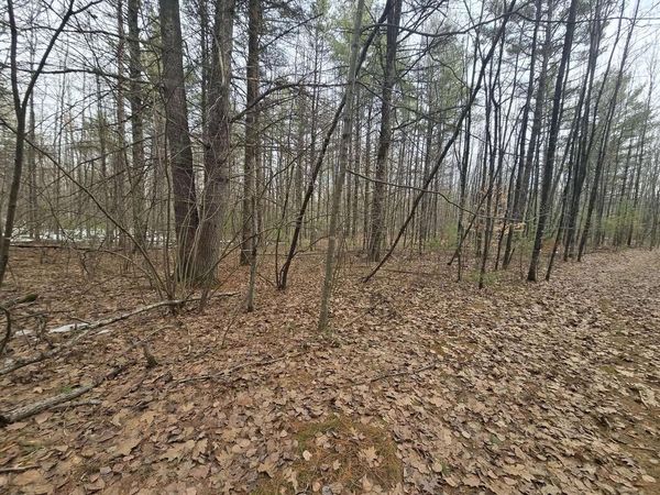 RABBIT TRAIL ROAD, Wausaukee, WI 54177