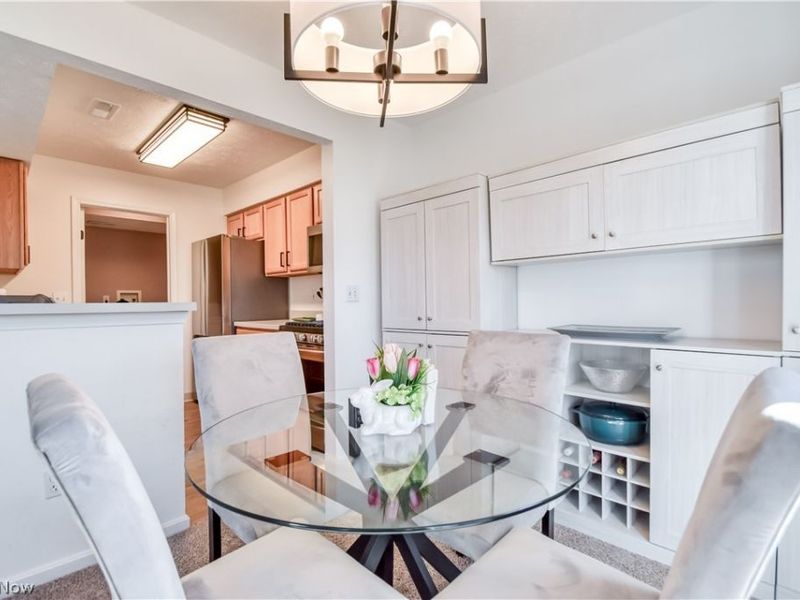 8712 Elmdale Trce, Macedonia, OH 44056 Photo 14