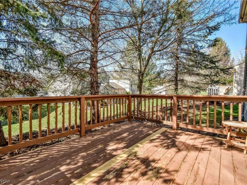 8712 Elmdale Trce, Macedonia, OH 44056 Photo 34