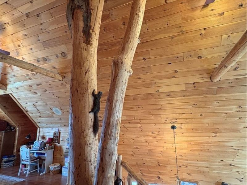 36575 SR 78, Lewisville, OH 43754 Photo 17