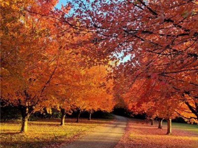 1045 W State Route 73, Clearcreek Township, OH 45066 Photo 3