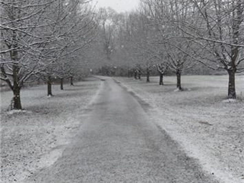 1045 W State Route 73, Clearcreek Township, OH 45066 Photo 4