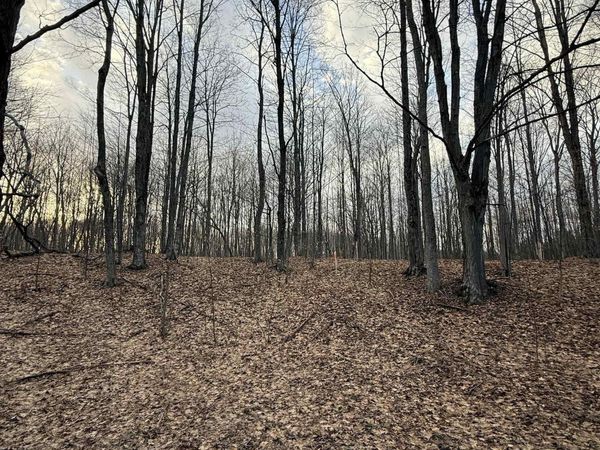 1208 Ridge Court S, Traverse City, MI 49696