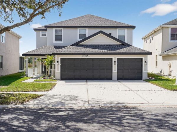 20054 NOB OAK AVENUE , TAMPA, FL 33647