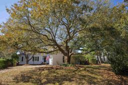 58 Mallet Hill Court  photo 4