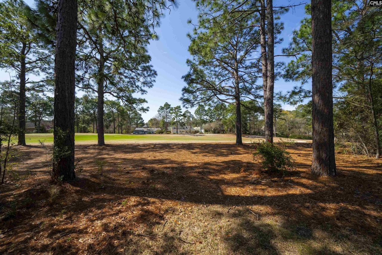 58 Mallet Hill Court  Photo 45